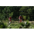 Team 50 / Raid Amazones Sri Lanka 2018 - J3 VTT