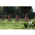 Team 45 / Raid Amazones Sri Lanka 2018 - J3 VTT