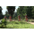 Team 45 / Raid Amazones Sri Lanka 2018 - J3 VTT