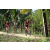 Team 112 / Raid Amazones Sri Lanka 2018 - J3 VTT