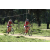 Team 131 / Raid Amazones Sri Lanka 2018 - J3 VTT