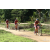 Team 131 / Raid Amazones Sri Lanka 2018 - J3 VTT