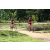 Team 08 / Raid Amazones Sri Lanka 2018 - J3 VTT