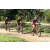 Team 109 / Raid Amazones Sri Lanka 2018 - J3 VTT