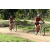 Team 109 / Raid Amazones Sri Lanka 2018 - J3 VTT