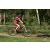 Team 80 / Raid Amazones Sri Lanka 2018 - J3 VTT