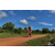 Team 131 / Raid Amazones Sri Lanka 2018 - J3 VTT