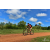 Team 07 / Raid Amazones Sri Lanka 2018 - J3 VTT