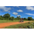 Team 40 / Raid Amazones Sri Lanka 2018 - J3 VTT