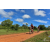 Team 80 / Raid Amazones Sri Lanka 2018 - J3 VTT