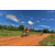 Team 108 / Raid Amazones Sri Lanka 2018 - J3 VTT
