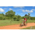 Team 58 / Raid Amazones Sri Lanka 2018 - J3 VTT