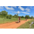 Team 59 / Raid Amazones Sri Lanka 2018 - J3 VTT