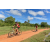 Team 137 / Raid Amazones Sri Lanka 2018 - J3 VTT