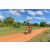 Team 137 / Raid Amazones Sri Lanka 2018 - J3 VTT