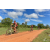 Team 103 / Raid Amazones Sri Lanka 2018 - J3 VTT