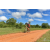 Team 103 / Raid Amazones Sri Lanka 2018 - J3 VTT