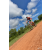 Team 72 / Raid Amazones Sri Lanka 2018 - J3 VTT