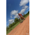 Team 129 / Raid Amazones Sri Lanka 2018 - J3 VTT