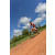 Team 129 / Raid Amazones Sri Lanka 2018 - J3 VTT