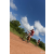 Team 64 / Raid Amazones Sri Lanka 2018 - J3 VTT