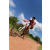 Team 27 / Raid Amazones Sri Lanka 2018 - J3 VTT