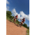 Team 123 / Raid Amazones Sri Lanka 2018 - J3 VTT