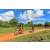 Team 119 / Raid Amazones Sri Lanka 2018 - J3 VTT