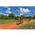 Team 05 / Raid Amazones Sri Lanka 2018 - J3 VTT