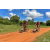 Team 55 / Raid Amazones Sri Lanka 2018 - J3 VTT