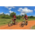 Team 55 / Raid Amazones Sri Lanka 2018 - J3 VTT