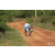 Raid Amazones Sri Lanka 2018 - J3 VTT