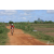 Raid Amazones Sri Lanka 2018 - J3 VTT