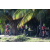 Team 45 / Raid Amazones Sri Lanka 2018 - J3 VTT
