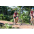 Team 109 / Raid Amazones Sri Lanka 2018 - J3 VTT