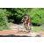 Team 50 / Raid Amazones Sri Lanka 2018 - J3 VTT