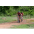 Team 23 / Raid Amazones Sri Lanka 2018 - J3 VTT
