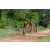 Team 108 / Raid Amazones Sri Lanka 2018 - J3 VTT