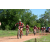 Team 33 / Raid Amazones Sri Lanka 2018 - J3 VTT