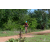 Team 101 / Raid Amazones Sri Lanka 2018 - J3 VTT