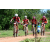 Team 70 / Raid Amazones Sri Lanka 2018 - J3 VTT