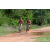 Team 103 / Raid Amazones Sri Lanka 2018 - J3 VTT