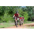 Team 133 / Raid Amazones Sri Lanka 2018 - J3 VTT