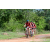Team 129 / Raid Amazones Sri Lanka 2018 - J3 VTT