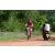 Team 01 / Raid Amazones Sri Lanka 2018 - J3 VTT
