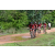 Team 119 / Raid Amazones Sri Lanka 2018 - J3 VTT
