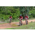 Team 63 / Raid Amazones Sri Lanka 2018 - J3 VTT