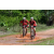 Team 05 / Raid Amazones Sri Lanka 2018 - J3 VTT