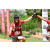 Team 50 / Raid Amazones Sri Lanka 2018 - J3 VTT