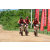 Team 121 / Raid Amazones Sri Lanka 2018 - J3 VTT
